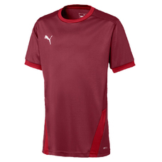 teamGOAL 23 Jersey jr