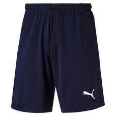 LIGA TRAINING SHORTS