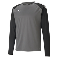 TEAMLIGA TRAINING SWEAT